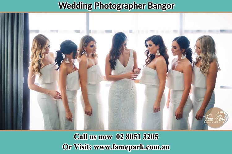 Photo of the Bride and the bridesmaids Bangor NSW 2234