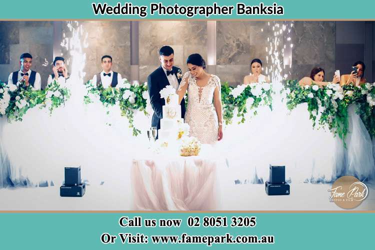 Photo of the Groom and the Bride slicing the cake Banksia NSW 2216