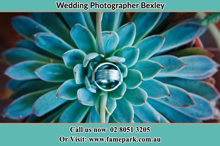 Photo of the wedding ring design at the top of the plant Bexley NSW 2207